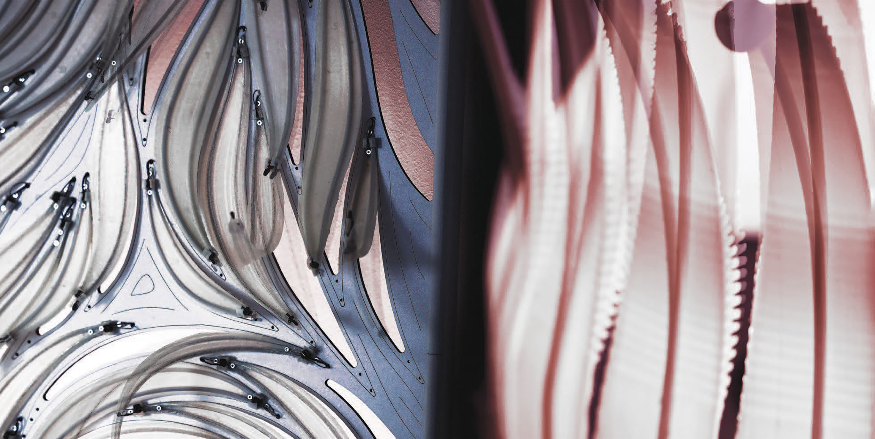 Kinetic architecture with shape memory alloys